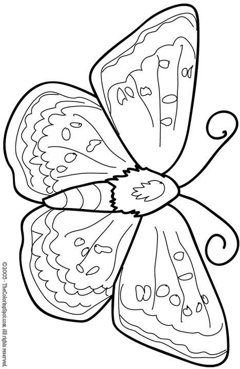 Kolorowanka do druku - Motyl: Twórcza zabawa dla dzieci kolorowanka do druku
