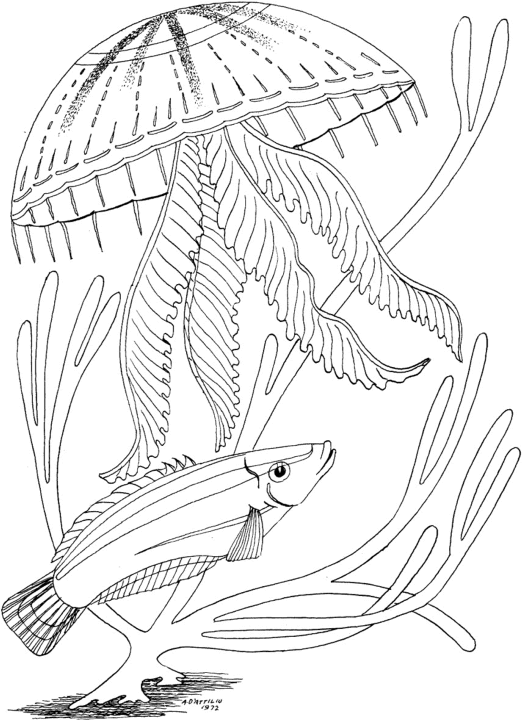 Kolorowanka Morska Przygoda - Odkryj Podwodny Świat kolorowanka do druku